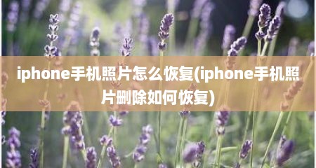 iphone手机照片怎么恢复(iphone手机照片删除如何恢复)