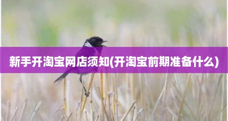 新手开淘宝网店须知(开淘宝前期准备什么)