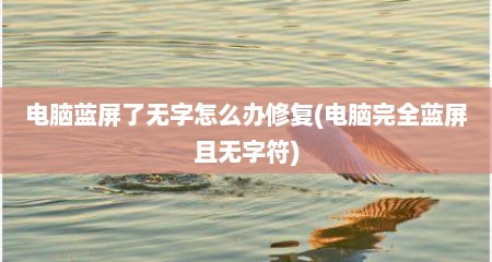 电脑蓝屏了无字怎么办修复(电脑完全蓝屏且无字符)
