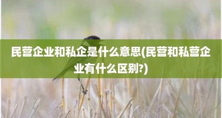 民营企业和私企是什么意思(民营和私营企业有什么区别?)