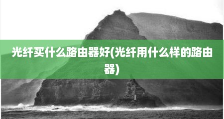 光纤买什么路由器好(光纤用什么样的路由器)