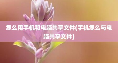 怎么用手机和电脑共享文件(手机怎么与电脑共享文件)