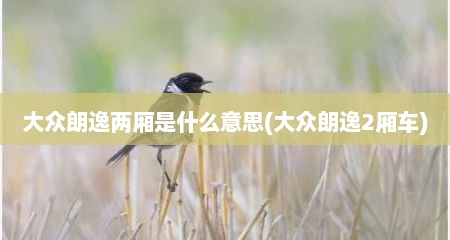 大众朗逸两厢是什么意思(大众朗逸2厢车)