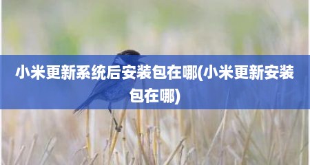 小米更新系统后安装包在哪(小米更新安装包在哪)