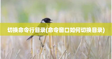 切换命令行目录(命令窗口如何切换目录)