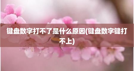 键盘数字打不了是什么原因(键盘数字键打不上)