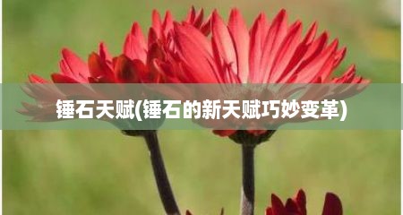 锤石天赋(锤石的新天赋巧妙变革)