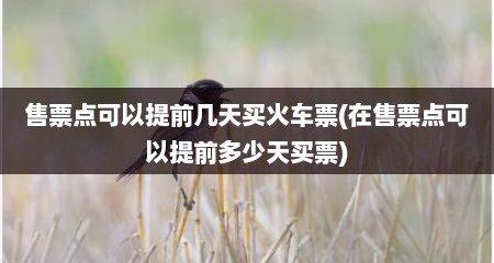 售票点可以提前几天买火车票(在售票点可以提前多少天买票)