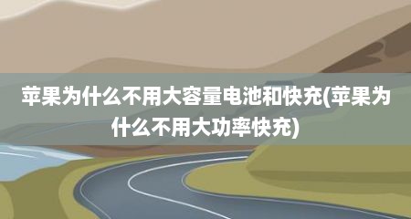 苹果为什么不用大容量电池和快充(苹果为什么不用大功率快充)