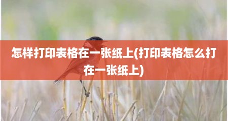怎样打印表格在一张纸上(打印表格怎么打在一张纸上)