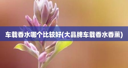 车载香水哪个比较好(大品牌车载香水香薰)