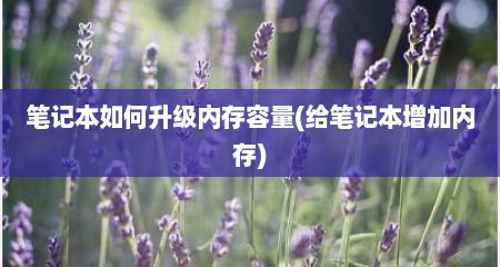 笔记本如何升级内存容量(给笔记本增加内存)