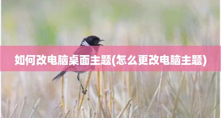 如何改电脑桌面主题(怎么更改电脑主题)