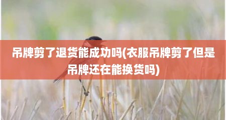 吊牌剪了退货能成功吗(衣服吊牌剪了但是吊牌还在能换货吗)