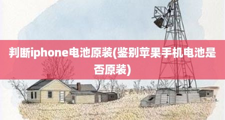 判断iphone电池原装(鉴别苹果手机电池是否原装)
