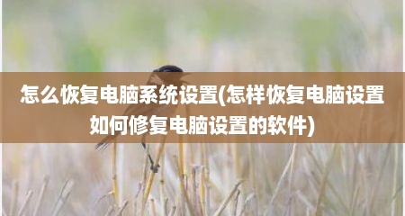 怎么恢复电脑系统设置(怎样恢复电脑设置如何修复电脑设置的软件)