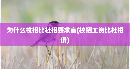 为什么校招比社招要求高(校招工资比社招低)