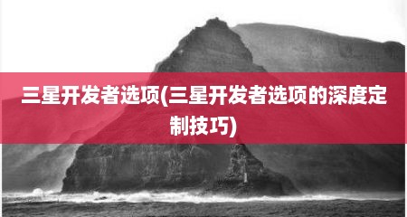三星开发者选项(三星开发者选项的深度定制技巧)