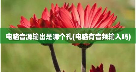 电脑音源输出是哪个孔(电脑有音频输入吗)