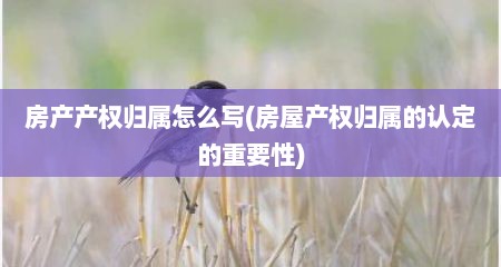 房产产权归属怎么写(房屋产权归属的认定的重要性)