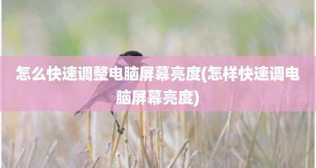 怎么快速调整电脑屏幕亮度(怎样快速调电脑屏幕亮度)