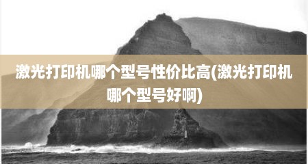 激光打印机哪个型号性价比高(激光打印机哪个型号好啊)