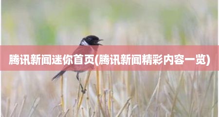 腾讯新闻迷你首页(腾讯新闻精彩内容一览)