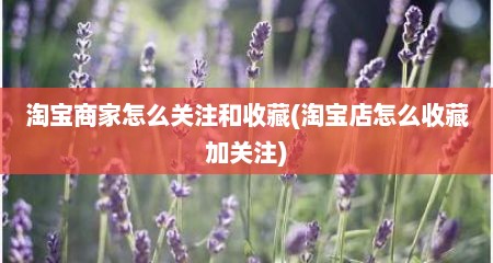 淘宝商家怎么关注和收藏(淘宝店怎么收藏加关注)