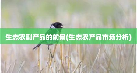 生态农副产品的前景(生态农产品市场分析)