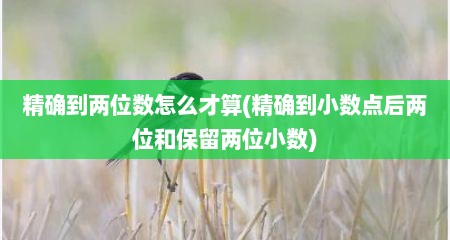 精确到两位数怎么才算(精确到小数点后两位和保留两位小数)