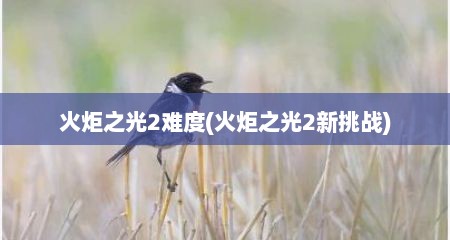 火炬芝光2难度(火炬芝光2新挑战)