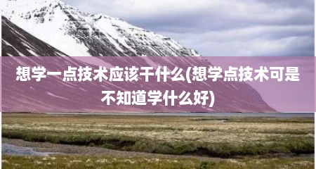 想学一点技术应该干什么(想学点技术可是不知道学什么好)