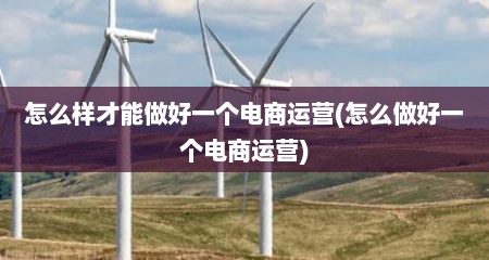 怎么样才能做好一个电商运营(怎么做好一个电商运营)