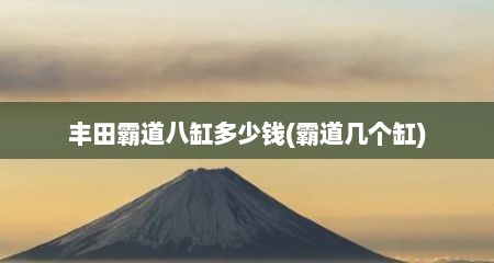 丰田霸道八缸多少钱(霸道几个缸)