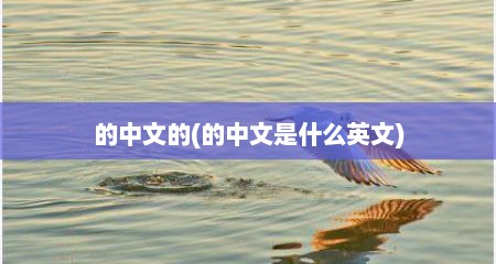 的中文的(的中文是什么英文)