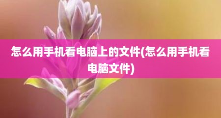 怎么用手机看电脑上的文件(怎么用手机看电脑文件)