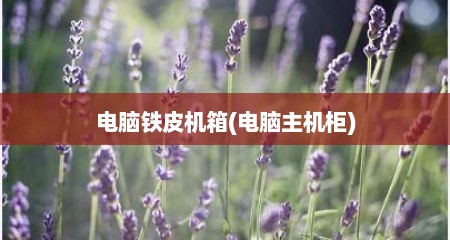 电脑铁皮机箱(电脑主机柜)