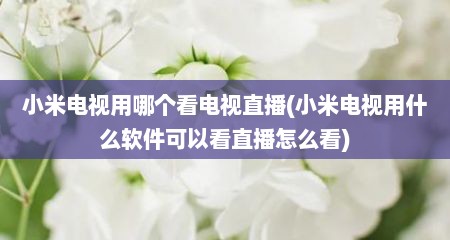 小米电视用哪个看电视直播(小米电视用什么软件可以看直播怎么看)