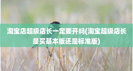 淘宝店超级店长一定要开吗(淘宝超级店长是买基本版还是标准版)