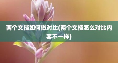 两个文档如何做对比(两个文档怎么对比内容不一样)