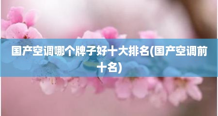 国产空调哪个牌子好十大排名(国产空调前十名)