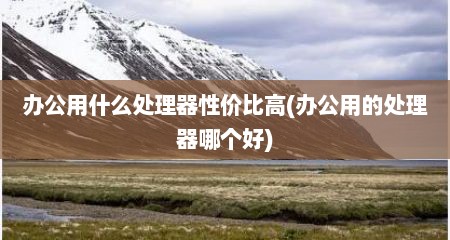 办公用什么处理器性价比高(办公用的处理器哪个好)
