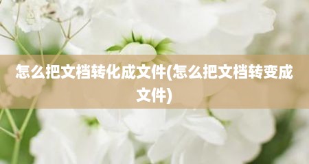 怎么把文档转化成文件(怎么把文档转变成文件)