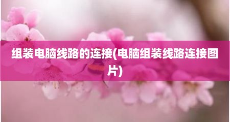 组装电脑线路的连接(电脑组装线路连接图片)
