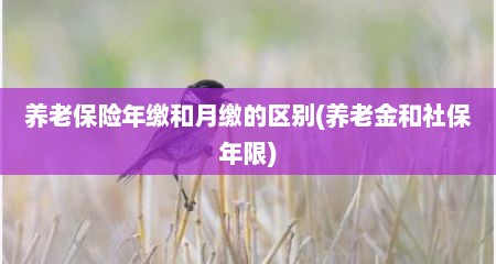 养老保险年缴和月缴的区别(养老金和社保年限)