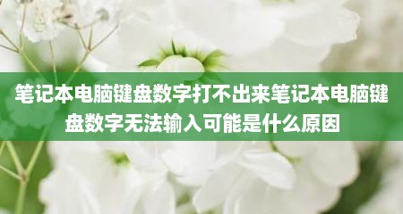 笔记本电脑键盘数字打不出来笔记本电脑键盘数字无法输入可能是什么原因