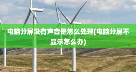 电脑分屏没有声音是怎么处理(电脑分屏不显示怎么办)