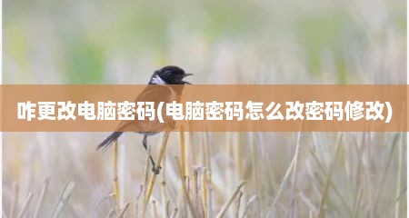咋更改电脑密码(电脑密码怎么改密码修改)