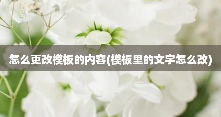 怎么更改模板的内容(模板里的文字怎么改)