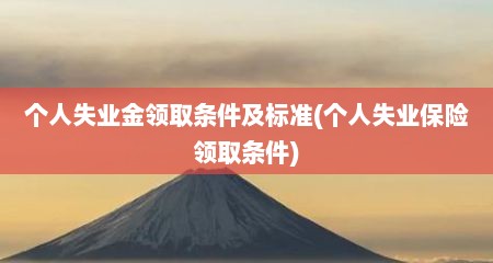 个人失业金领取条件及标准(个人失业保险领取条件)